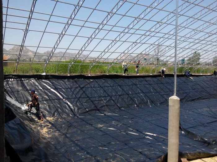 沿海虾池养殖防渗膜铺设工程现场实拍