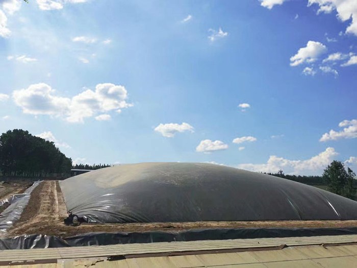 养殖场黑膜沼气池HDPE土工膜覆盖产气工程实拍